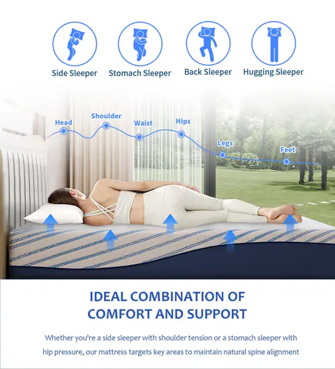 Sponge mattress-EB001 - view 3