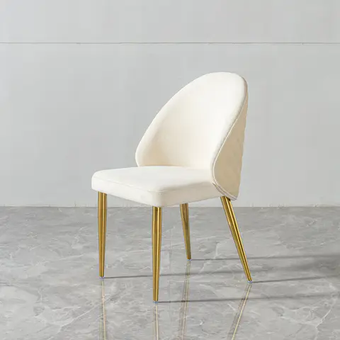 Modern Dining room chair stainless steel legs - Dining Chairs & Stools