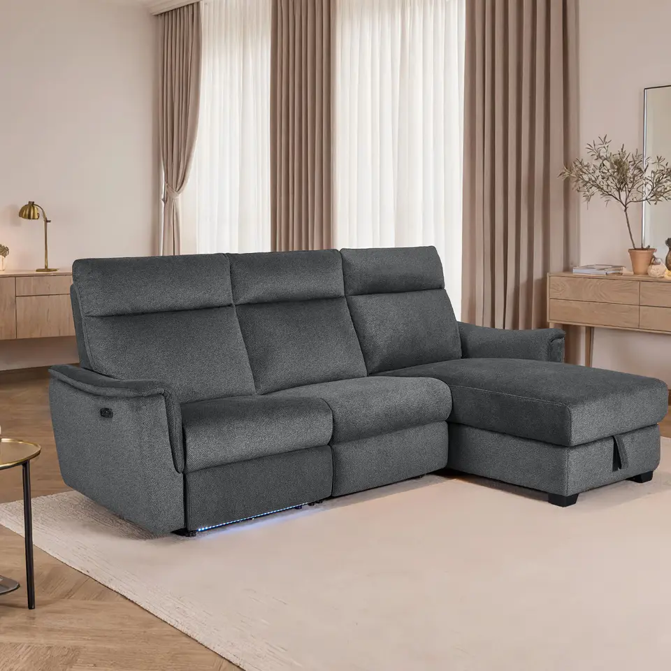 Storage Sectional DG